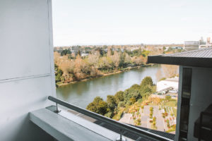 Hamilton Accommodation on Waikato River